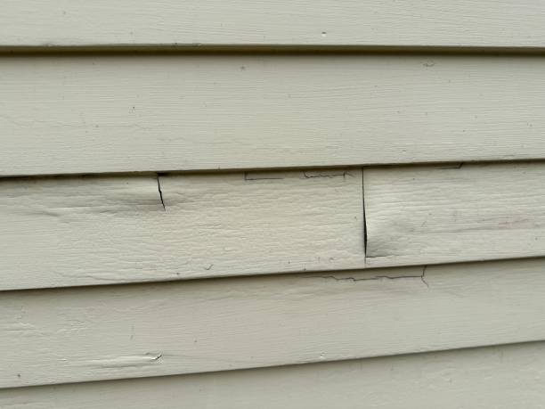 Best Custom Trim and Detailing for Siding  in Gluckstadt, MS